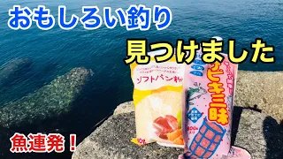 これで冬の海も大盛り上がり！「パン粉」と「アミエビ」のコラボが楽しすぎた