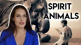 Spirit Animals (What Is Your Spirit Animal and How To Find Your Spirit Animal)