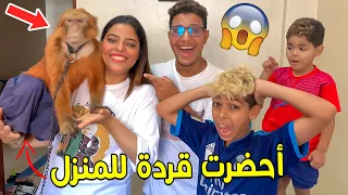 فاجأت زوجتي ..وجبت قردة سميتها عويشة للدار 🙉 حمقاتنا 😂🤦‍♀️