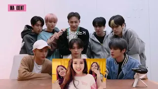 stray kids reaction to blackpink as if it is your last mv + dance practice