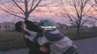 TU JAANE NA | Slowed And Reverb | Alyan