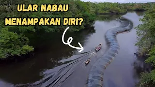 Terekam Kamera Pemancing! Ular Sepanjang 80M muncul di Sungai Kalimantan! Pemancing sampai ketakutan