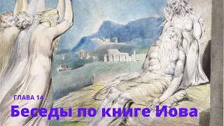 14. Беседы по Книге Иова. Глава 14