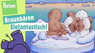 Der kleine Eisbär spielt mit den Braunbären & Der Buchstabe B | Der Elefant | WDR