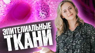 Эпителиальная ткань | Биология ЕГЭ