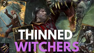 GWENT | 2024.01 | SKELLIGE | Reckless Flurry - Discard package plus witchers after some buffs!!!