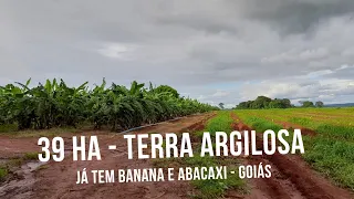 5 ALQ. BANANA/ABACAXI, TERRA VERMELHA, REPRESA, 9 KM DO ASFALTO - FAZENDA CHACARA A VENDA JARAGUÁ GO