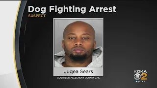 Man Arrested For Alleged Dog Fighting