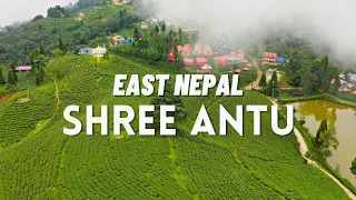 SHREE ANTU (श्री अन्तु) - ILAM | EAST NEPAL | SANDAKPUR - PART II | S02E03