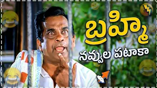 Brahmmi NAVVULE NAVVULU Comedy Scenes😂😂 || Telugu Popular Comedy Scenes || Telugu Comedy Club