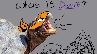 Where is Donnie? | rottmnt animatic