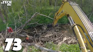 The Beavers Have Done A Real Massacre Here - Beaver Dam Removal With An Excavator No.73