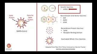 Kidney Crossroads:COVID-19 Vaccination in Transplant Recipients - Brigham and Women's Hospital