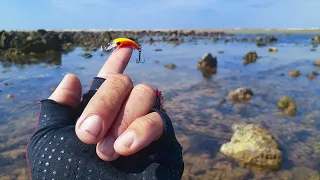 PESCA ULTRALIGHT NAS PEDRAS DA PRAIA