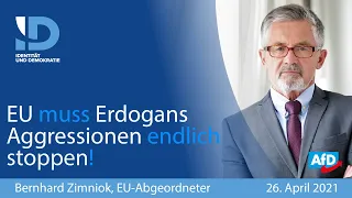 EU muss Erdogans Aggressionen endlich stoppen! - Bernhard Zimniok (AfD)