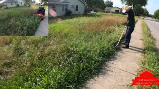 Cutting Overgrown CITY VIOLATION Yard In the Middle of a Man Hunt