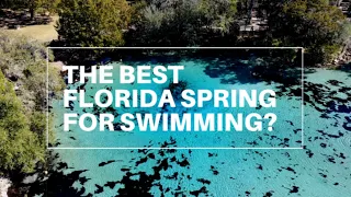 THE BEST FLORIDA SPRING for Swimming | Florida Springs | Silver Glen Springs | Ocala National Forest