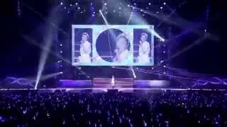 寿美菜子 "Pretty Fever" Live in Budokan 2014