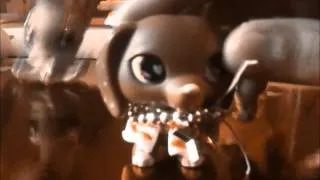 Lps Music Video:Partys in My Head