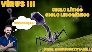 Virus III - Ciclo Lítico e Ciclo Lisogênico