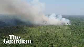 Large swathes of the Amazon rainforest are burning