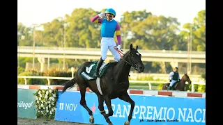 Gran Premio Nacional (G1) 2023 - Ever Daddy