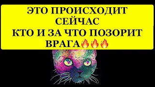 🔥ЭТО ПРОИСХОДИТ СЕЙЧАС❗️ КТО И ЗА ЧТО ПОЗОРИТ ВРАГА❗️🔥