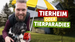 Tierheim oder Tier-Paradies? | Tierarzt Tacheles | ZooRoyal