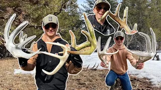 SHED HUNTING GIANT ALBERTA BUCKS 2.0