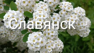 Славянск 19 Мая 2022 год