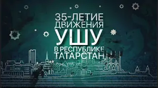 З5 летие ушу в Республике Татарстан