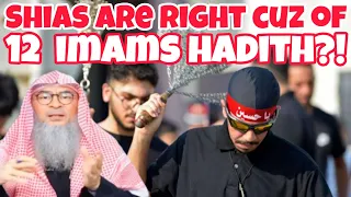 Shias use the 12 imams hadith to prove they are on the right path! - #assim assim al hakeem
