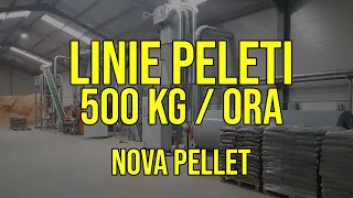 Linie productie peleti rumegus verde - 500 kg/ora