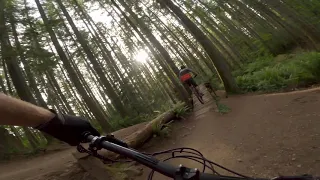 Expert Lines at Duthie Hill Mountain Bike Park