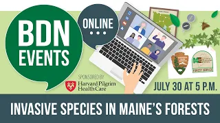 Invasive species in Maine's forests | BDN Events Online