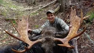 15 yr old Archery Moose Hunt Idaho - Stuck N The Rut