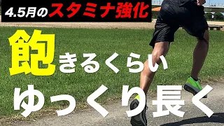 【春のスタミナ強化】絶対に失速しなくなるトレーニング3選