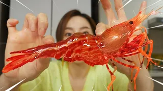 [Mukbang ASMR] 싱싱한🦐 살아있는 활 독도새우 회 & 독도새우 튀김 Raw Dokdo Shrimp & Fried Shrimp Eatingshow Ssoyoung