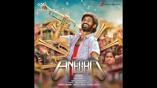 Danga Maari Oodhari (Original Motion Picture Soundtrack)