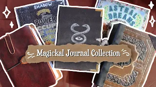 My Current Witchy Journals/ Magickal Books Collection