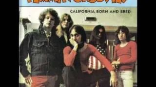 Flamin' Groovies - Shakin' all over