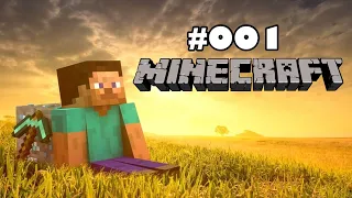 Minecraft #001 - Eine lange Reise beginnt :D | PS5 Let's Play auf Deutsch