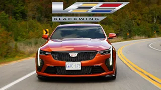 WORLD'S BEST SPORT SEDAN? - Cadillac CT4-V Blackwing - Review