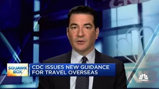 Dr. Scott Gottlieb: Covid Delta variant likely not a major risk to the U.S. until the fall