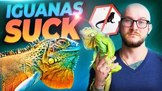 Green Iguanas SUCK! 3 Reasons Why YOU Should Never Get One!