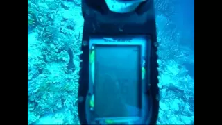 Potentially Fatal Scuba Diving Accident Intervention Bahamas 12 04 08 HD www videoripper me