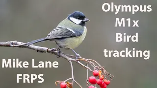 Olympus M1x firmware update. Installing and using for bird tracking.
