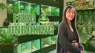 Getting a Pacman Frog! | BIOACTIVE tank setup, haul, and unboxing!