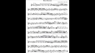 Grigoraş Dinicu Hora Staccato Flute Solo (Sibelius)