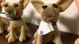 Taco Bell Chihuahuas